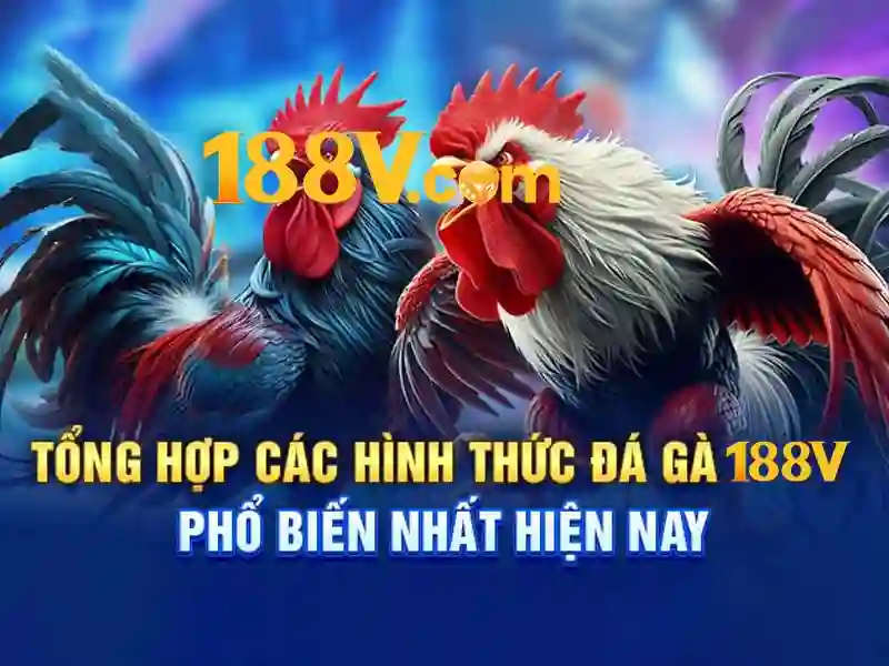 hỗ trợ 188v: giải pháp tối ưu cho trải nghiệm casino và slot Soi kèo hiệp 1