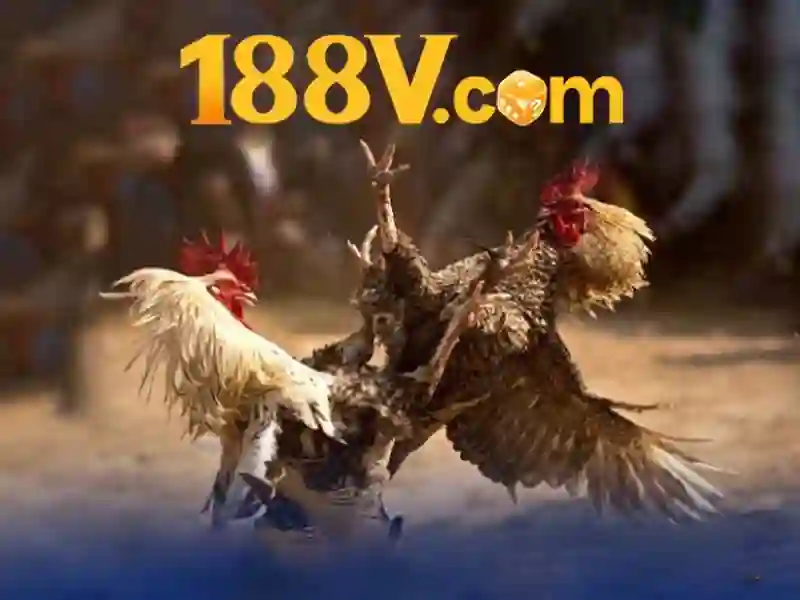 Nguồn gốc và lịch sử