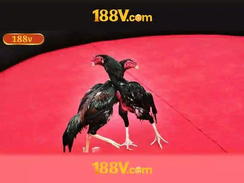 Tương lai của 188v\n