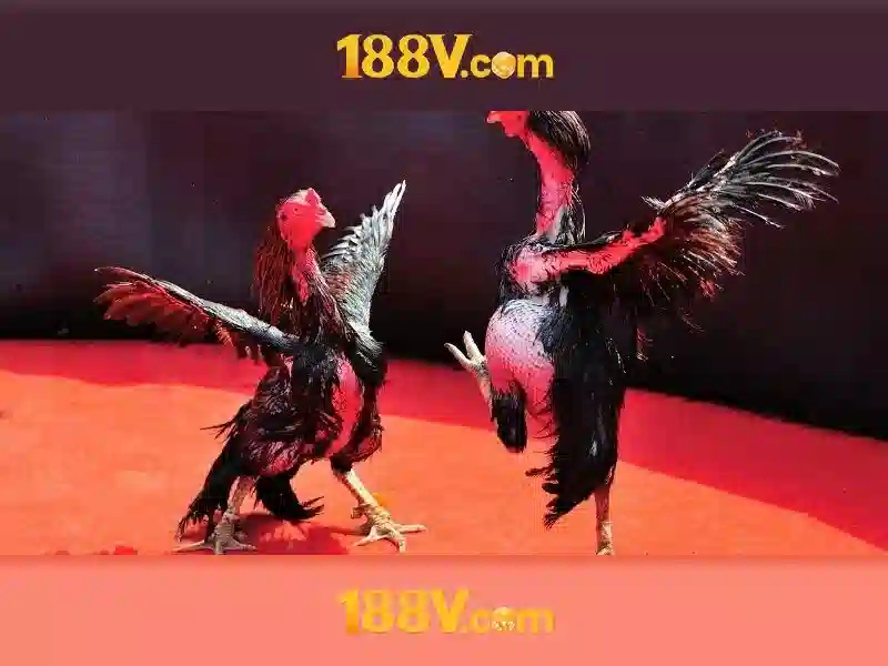 Nguồn gốc và sứ mệnh của 188v school