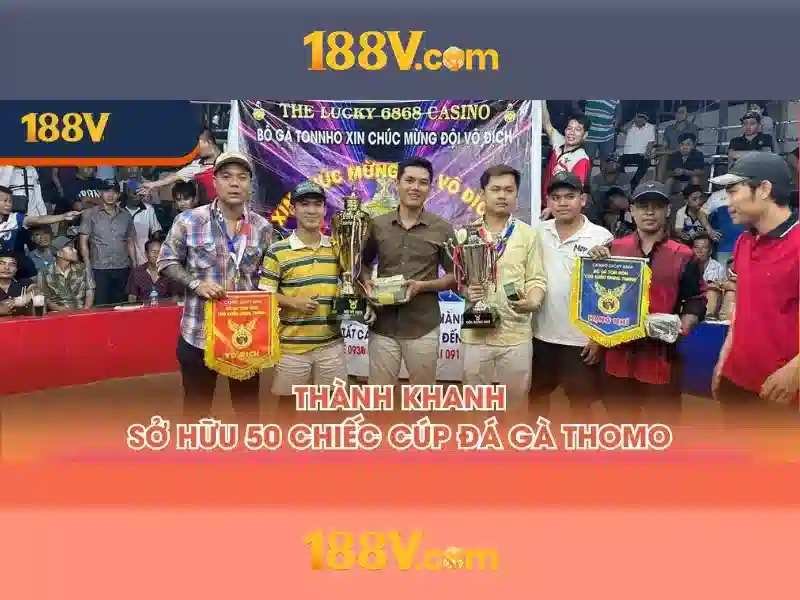 Trải nghiệm người dùng và phản hồi