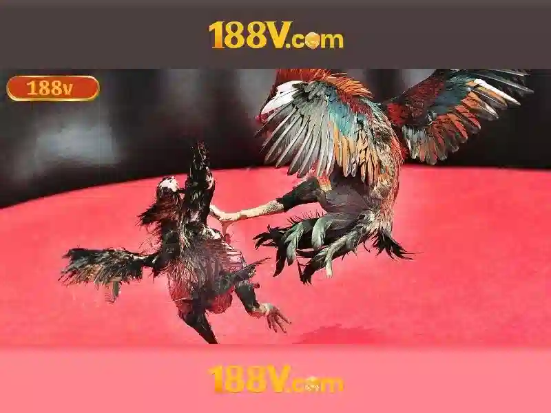 188v la gi?\n