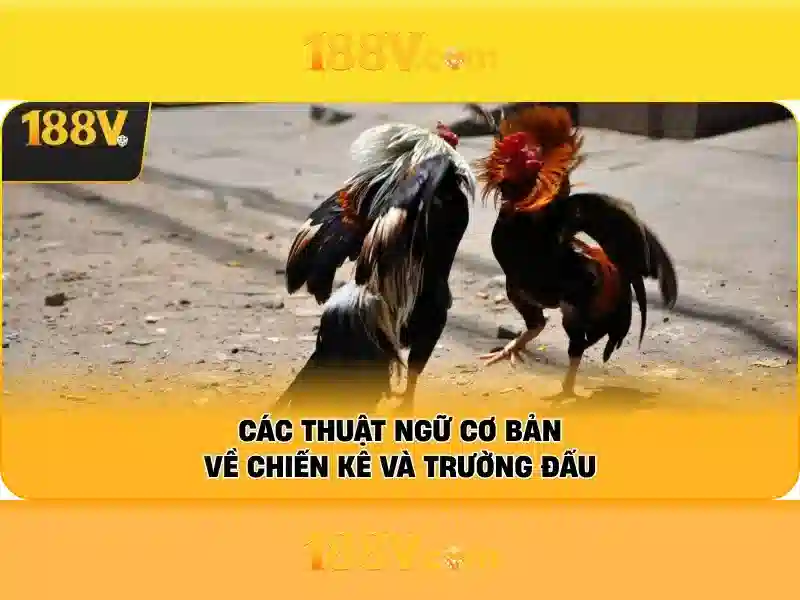 Đăng Nhập