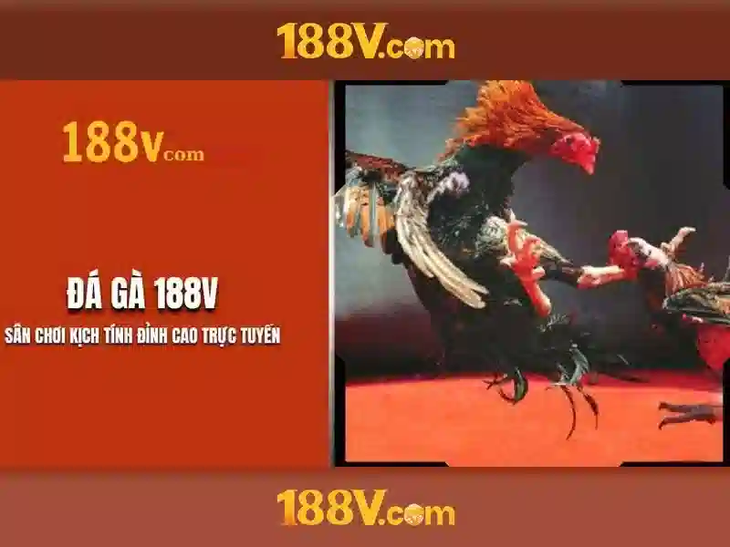 Trải nghiệm người dùng và phản hồi cộng đồng Trải nghiệm người dùng và phản hồi cộng đồng