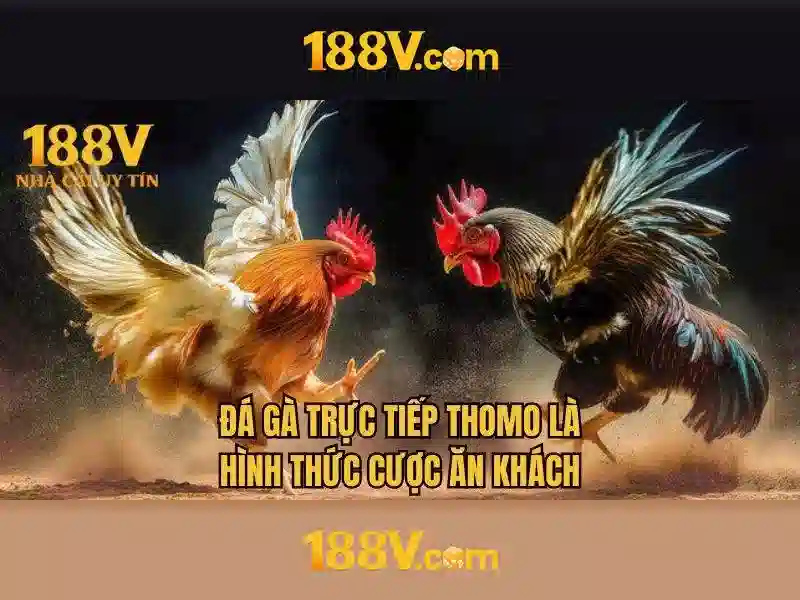 Nguồn gốc và bối cảnh\n Nguồn gốc và bối cảnh\n