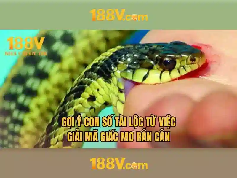 188v: một khái niệm và câu chuyện phía sau Go88