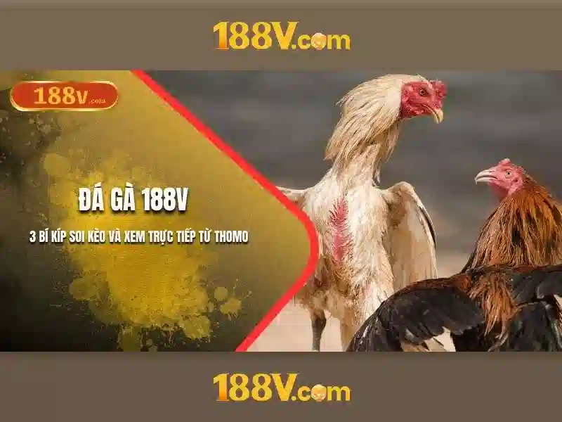188v: một khái niệm giữa nghệ thuật và công nghệ Go88