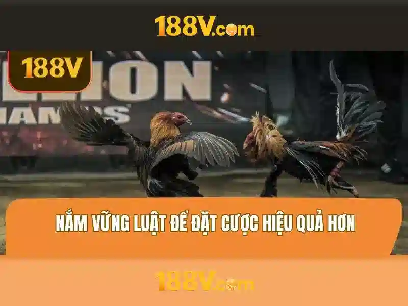 Ảnh hưởng và ứng dụng trong đời sống