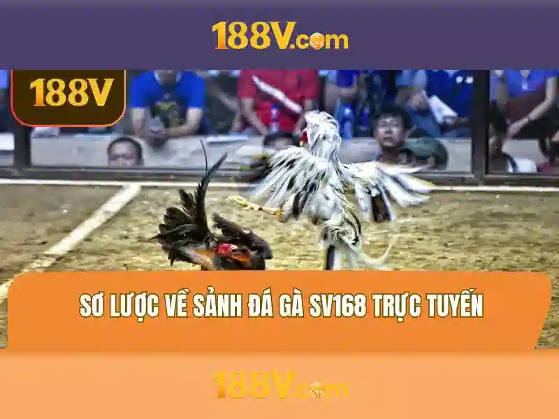 Lợi thế và cạnh tranh