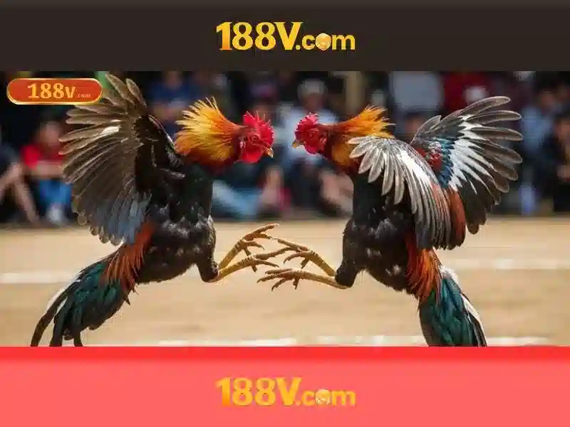 Tương lai của 188v và các thảo luận đạo đức