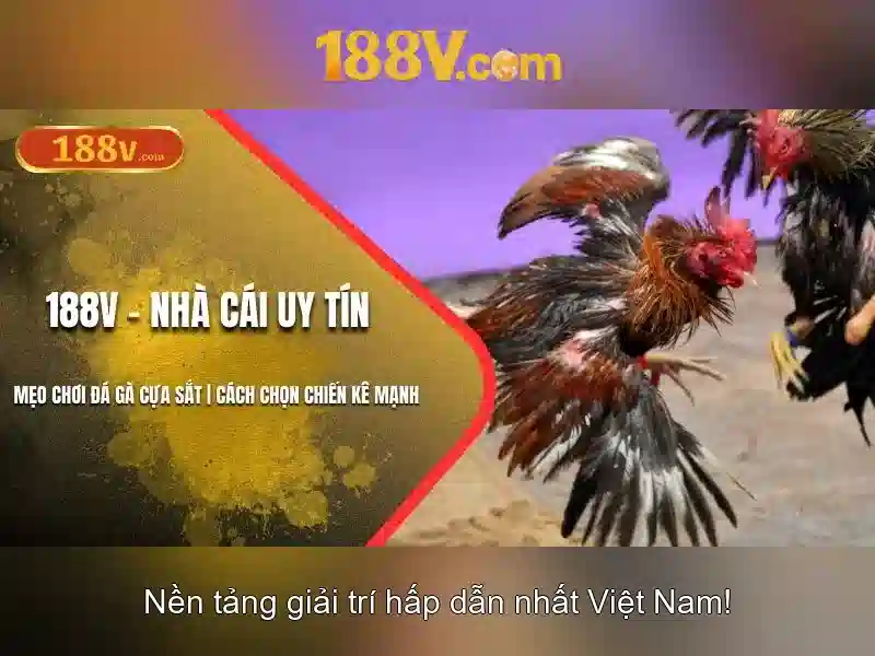 Biến đổi và đo lường điện áp 188V