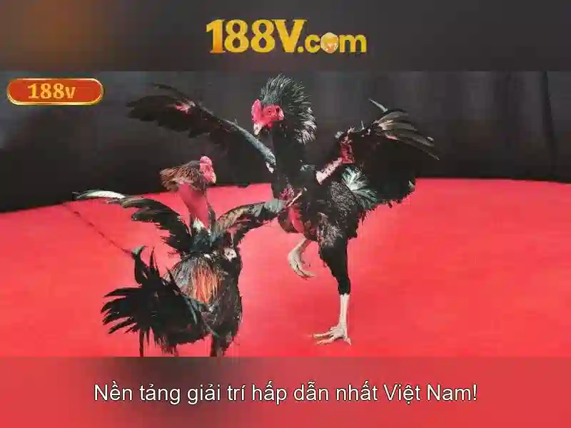 Go88