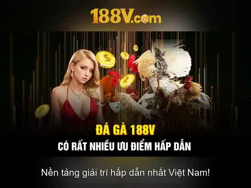 Khía cạnh thẩm mỹ của 188v Khía cạnh thẩm mỹ của 188v