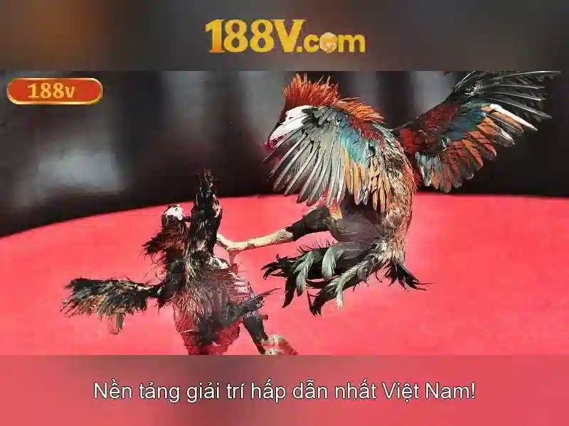 Nguồn gốc của 188v và ý nghĩa của nó