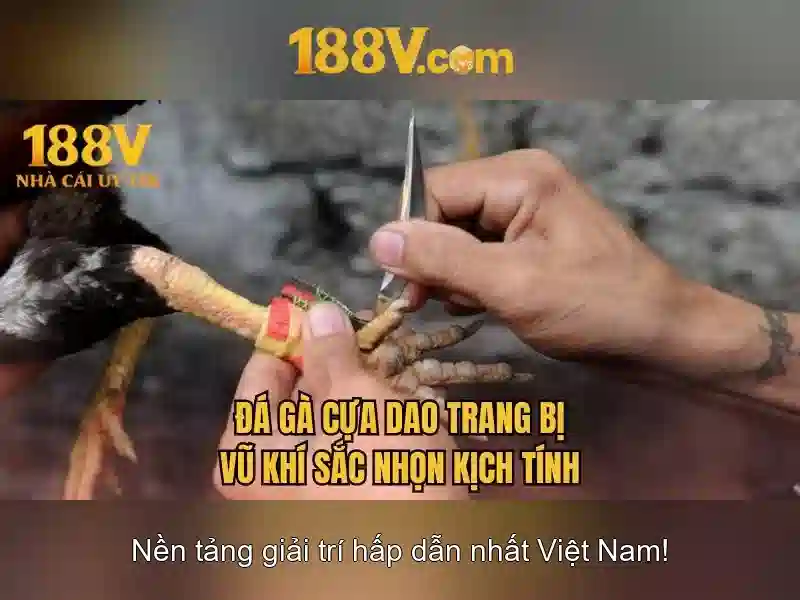 Đăng Nhập