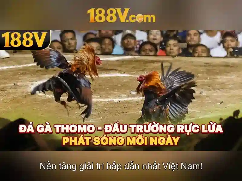 Khám phá 188v: một khái niệm công nghệ đầy hứa hẹn 1 Đăng Nhập