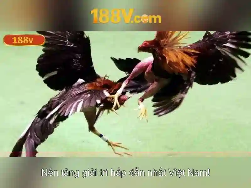 Khái niệm 188v trong công nghệ và đời sống 1 Đăng Nhập