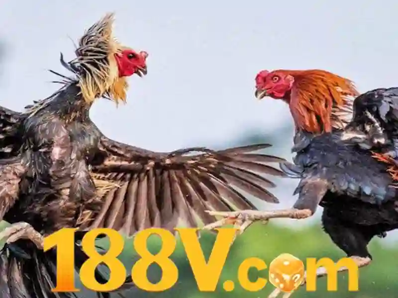 Trang chủ 6 Hướng dẫn đăng ký tài khoản 188v trên điện thoại di động