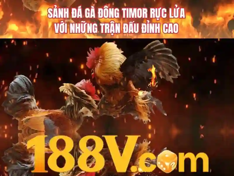 Tag review 188v trong tin tức cược Việt Nam 1 Đăng Nhập